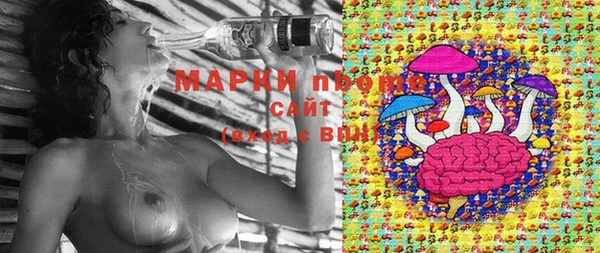 тгк Абинск