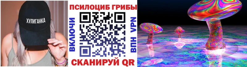 omg ССЫЛКА Нефтеюганск Псилоцибиновые грибы Psilocybine cubensis